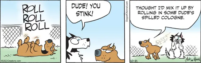 Dogs of C-Kennel for Oct 21, 2022