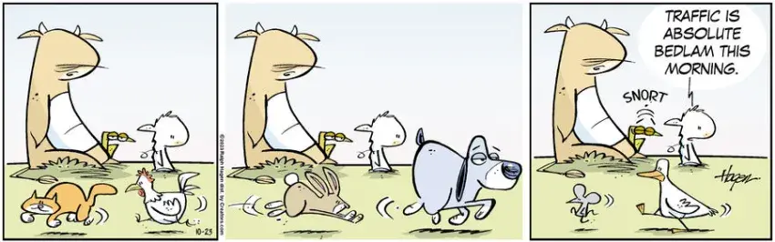 The Barn for Oct 23, 2023