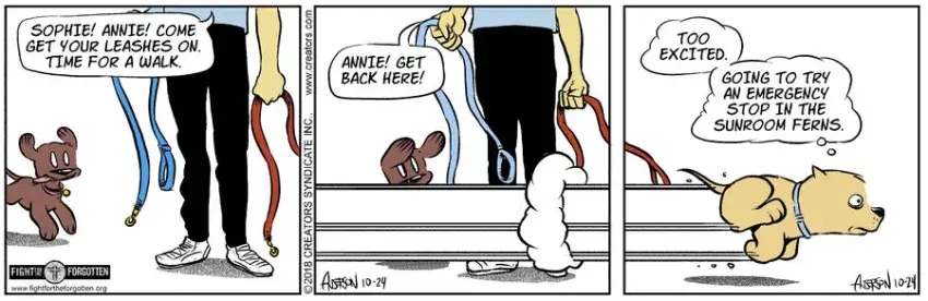 Dog Eat Doug for Oct 24, 2023