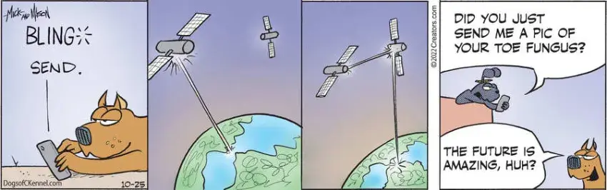 Dogs of C-Kennel for Oct 25, 2022