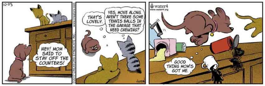 Dog Eat Doug for Oct 25, 2022