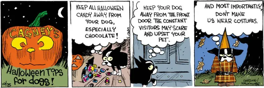 Zack Hill for Oct 25, 2024