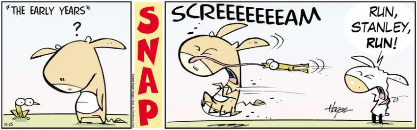 The Barn for Oct 25, 2024