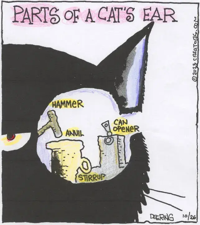 Strange Brew for Oct 26, 2023