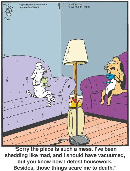 Rubes® for Oct 26, 2023