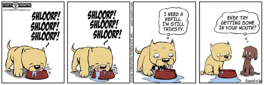 Dog Eat Doug for Oct 26, 2023