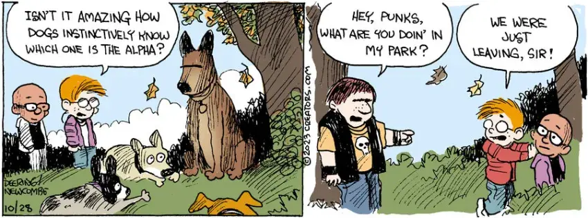 Zack Hill for Oct 28, 2023