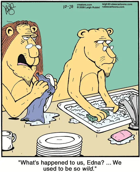 Rubes® for Oct 29, 2021