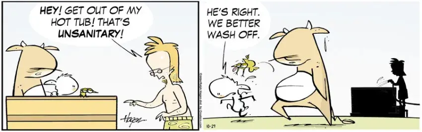 The Barn for Oct 29, 2024