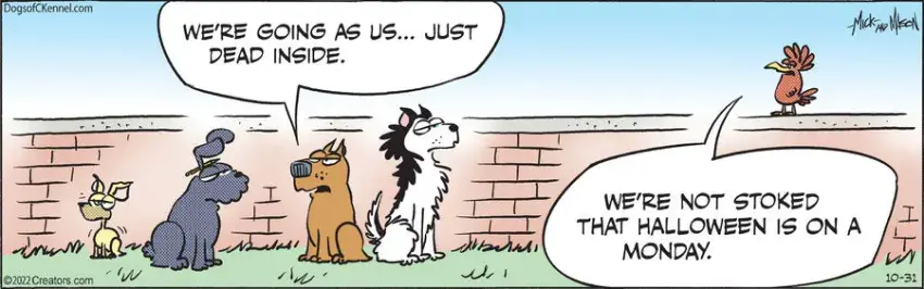 Dogs of C-Kennel for Oct 31, 2022