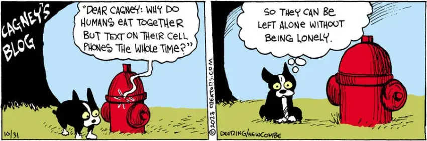 Zack Hill for Oct 31, 2023