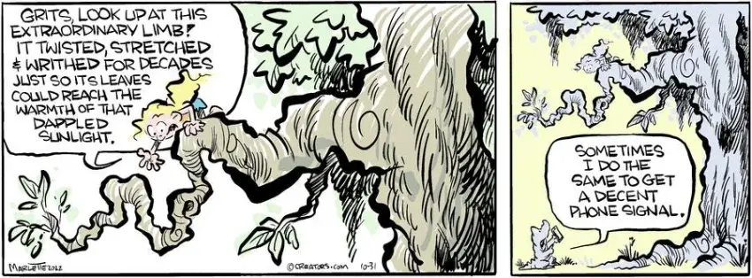 Shrimp and Grits for Oct 31, 2024