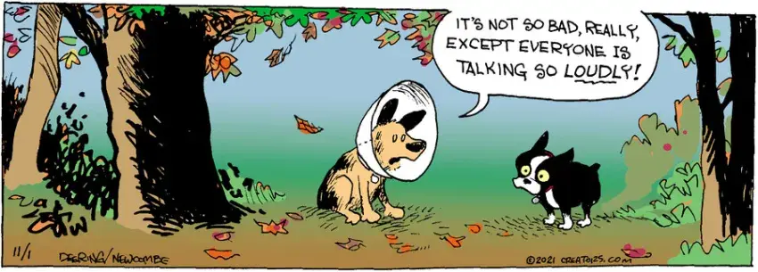 Zack Hill for Nov 01, 2021