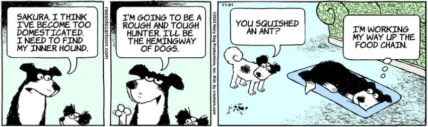 The Other Coast for Nov 01, 2022