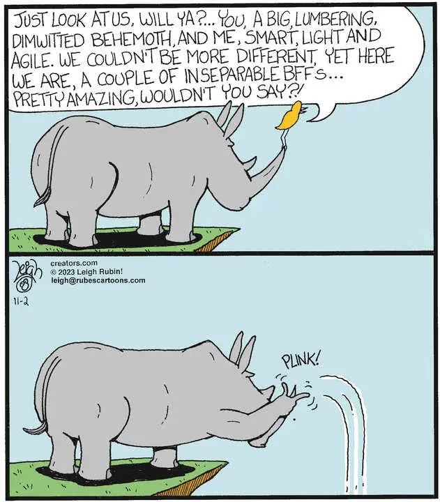 Rubes® for Nov 02, 2023