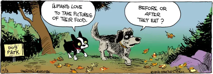 Zack Hill for Nov 03, 2021