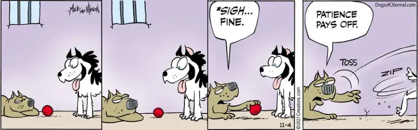 Dogs of C-Kennel for Nov 04, 2021