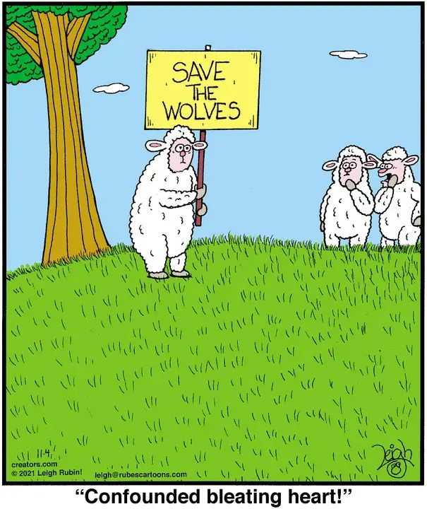 Rubes® for Nov 04, 2021