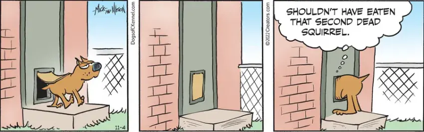 Dogs of C-Kennel for Nov 04, 2022