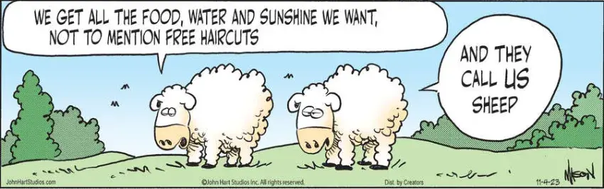 Wizard of Id for Nov 04, 2023