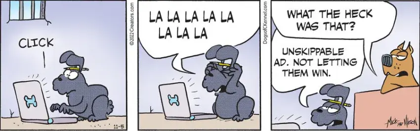 Dogs of C-Kennel for Nov 05, 2022