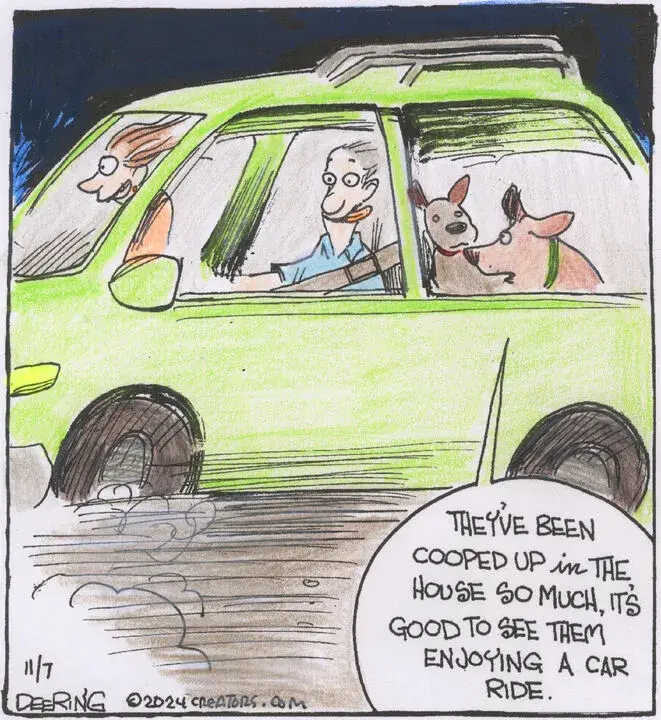 Strange Brew for Nov 07, 2024