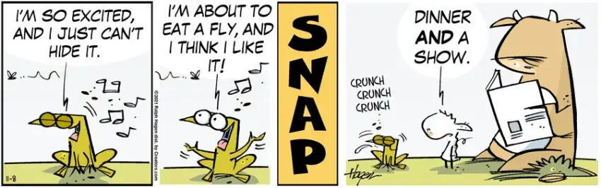 The Barn for Nov 08, 2021