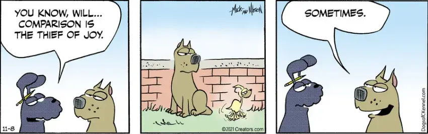 Dogs of C-Kennel for Nov 08, 2021