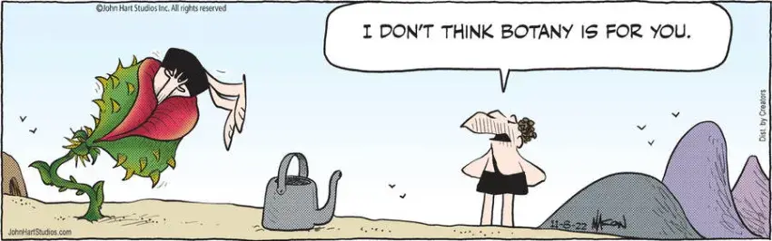 B.C. for Nov 08, 2022