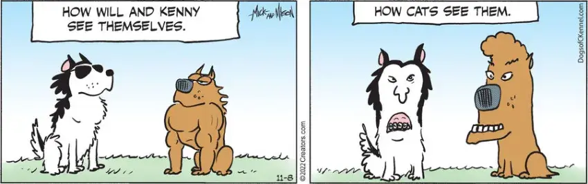 Dogs of C-Kennel for Nov 08, 2022