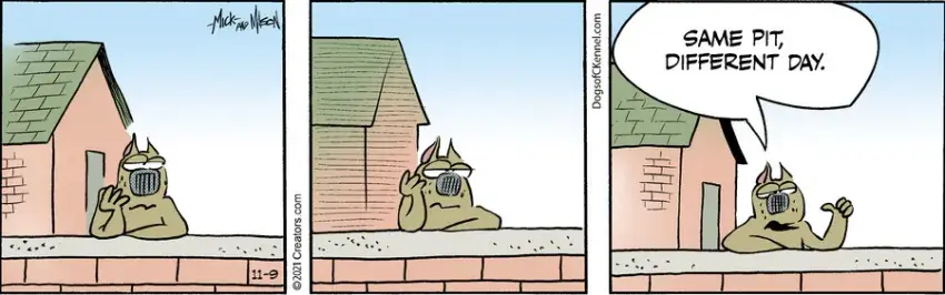 Dogs of C-Kennel for Nov 09, 2021