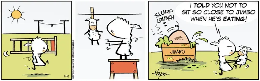 The Barn for Nov 10, 2021