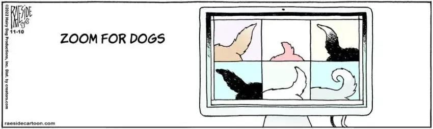 The Other Coast for Nov 10, 2022