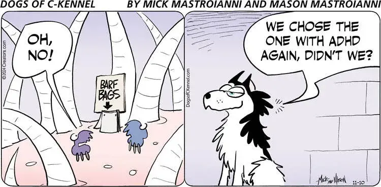 Dogs of C-Kennel for Nov 10, 2024