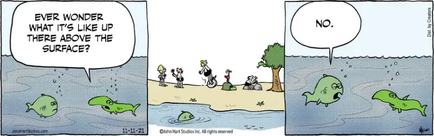 B.C. for Nov 11, 2021