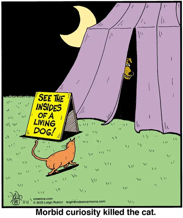 Rubes® for Nov 11, 2023