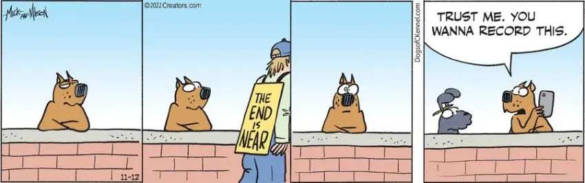 Dogs of C-Kennel for Nov 12, 2022