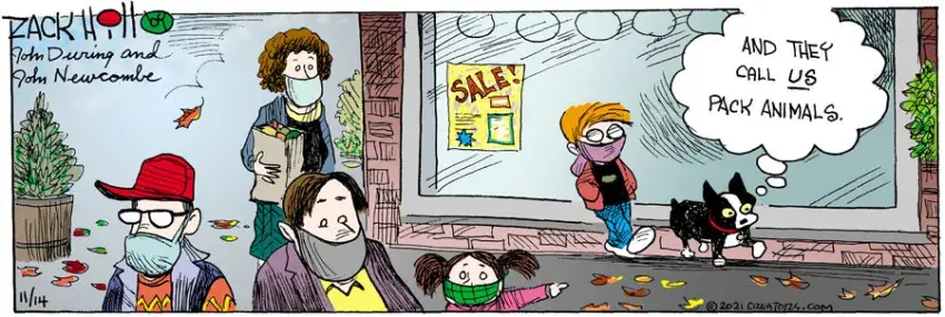 Zack Hill for Nov 14, 2021