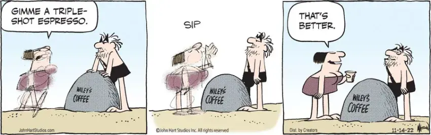 B.C. for Nov 14, 2022