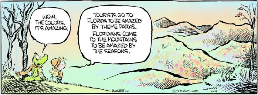 Shrimp and Grits for Nov 15, 2021