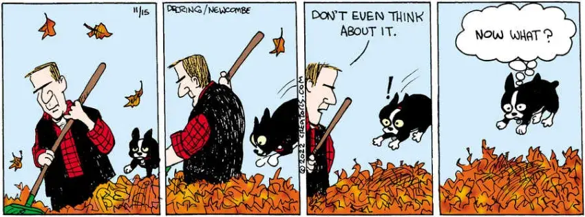 Zack Hill for Nov 15, 2022