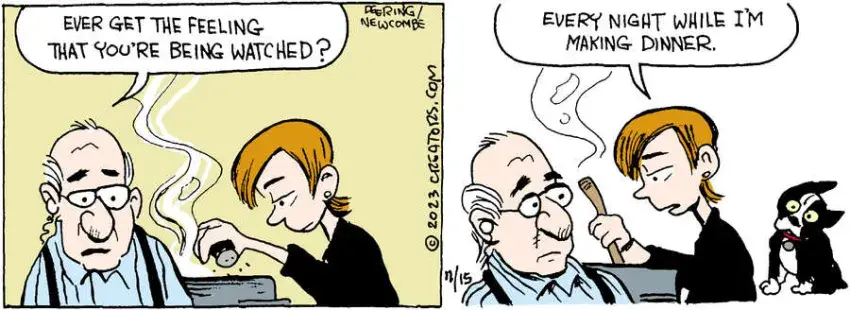 Zack Hill for Nov 15, 2023