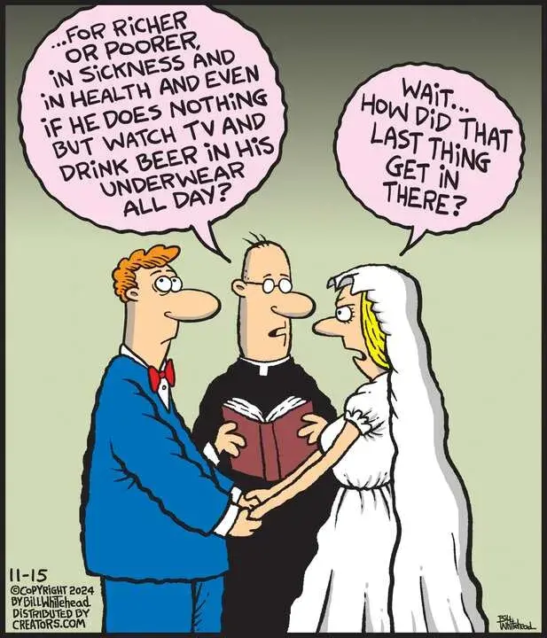 Free Range for Nov 15, 2024