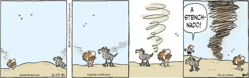 B.C. for Nov 17, 2021