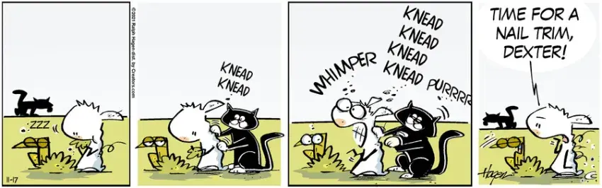 The Barn for Nov 17, 2021