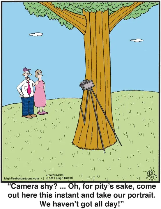 Rubes® for Nov 17, 2021