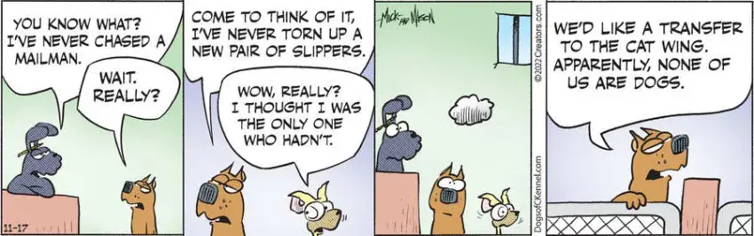 Dogs of C-Kennel for Nov 17, 2022