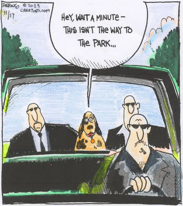 Strange Brew for Nov 17, 2023