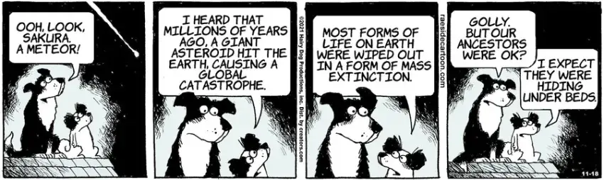 The Other Coast for Nov 18, 2021