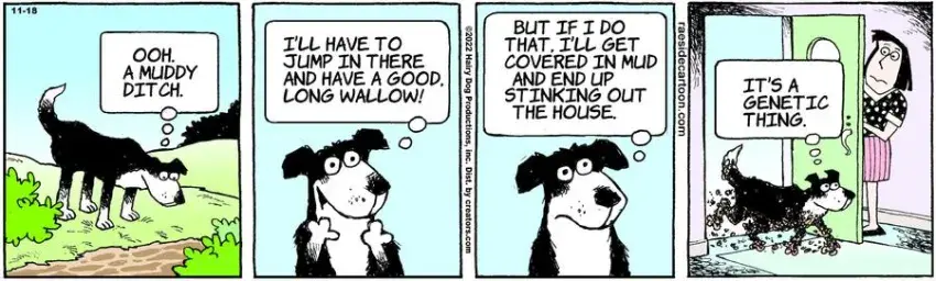 The Other Coast for Nov 18, 2022